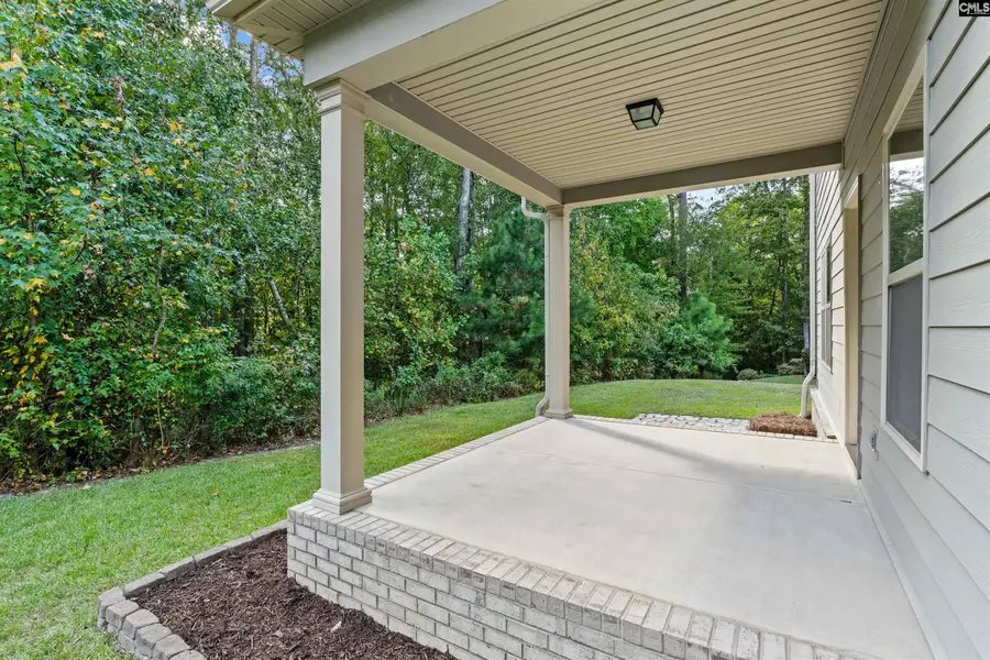 96 Dogwood Cottage Court, Blythewood, SC 29016 - Image #3