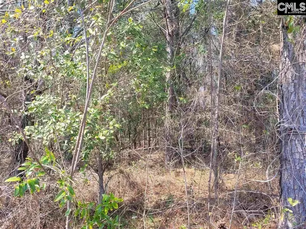 239 House Road, Eastover, SC 29044