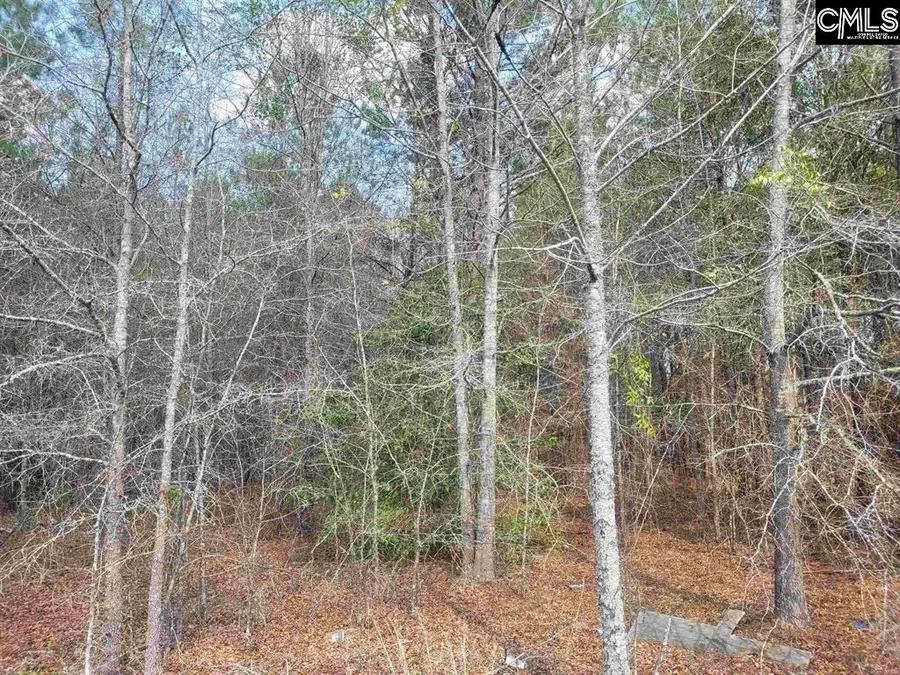 239 House Road, Eastover, SC 29044 - Image #2