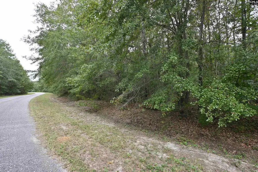 420-442 Pond Bluff Road, North, SC 29112 - Image #2