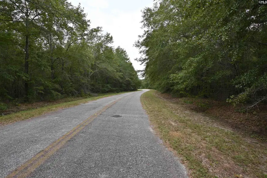 420-442 Pond Bluff Road, North, SC 29112 - Image #3