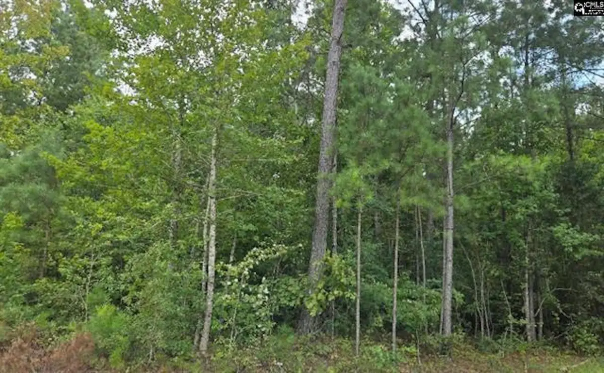 N1 Old Edgefield Road, Ninety Six, SC 29666 - Image #1