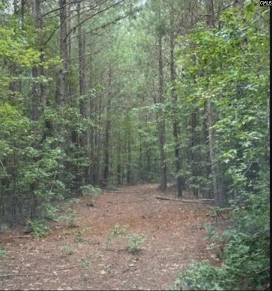 N1 Old Edgefield Road, Ninety Six, SC 29666 - Image #2