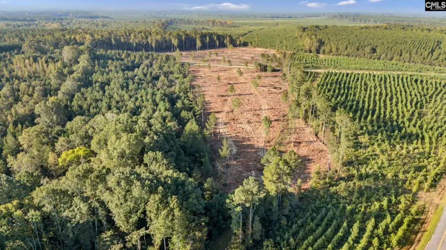 0 Fruit Hill Road, Saluda, SC 29138 - Image #3