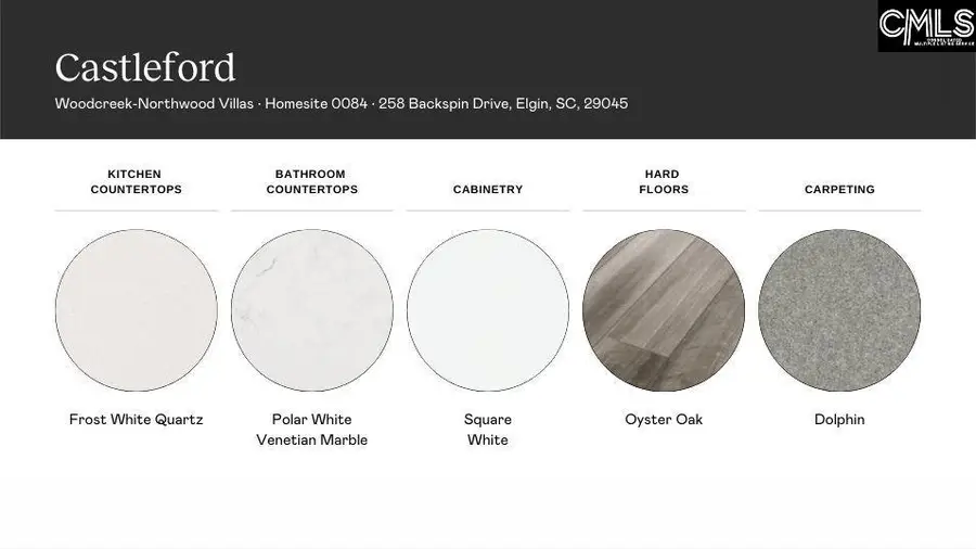 250 Backspin Drive, Elgin, SC 29045 - Image #3