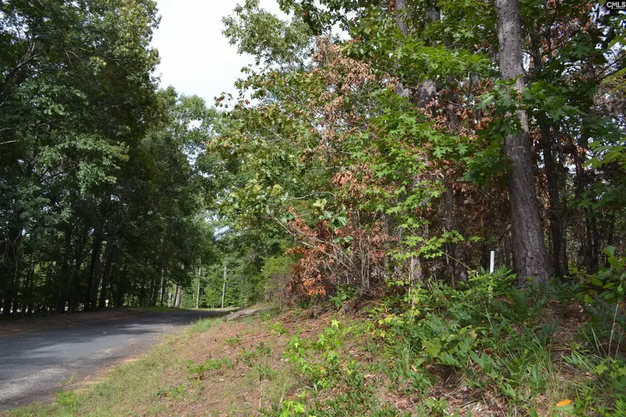 0 Fawn Drive, Hopkins, SC 29061 - Image #2