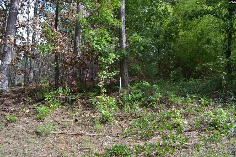 0 Fawn Drive, Hopkins, SC 29061 - Image #3