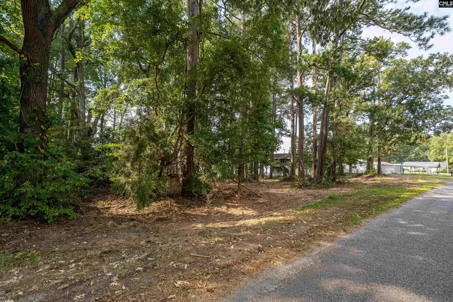 1172 Tailers Trail, Leesville, SC 29070 - Image #2