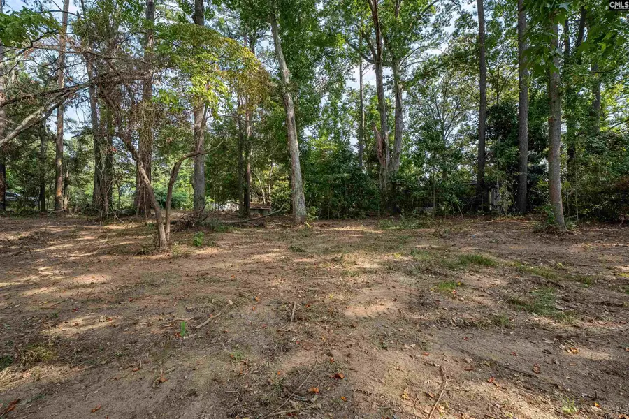 1172 Tailers Trail, Leesville, SC 29070 - Image #3