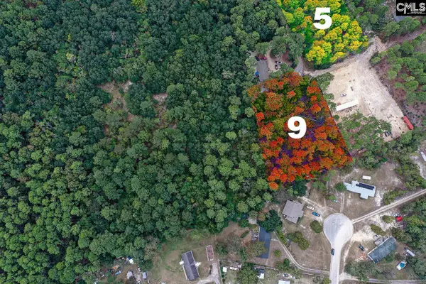 Mimosa Drive, Gaston, SC 29053