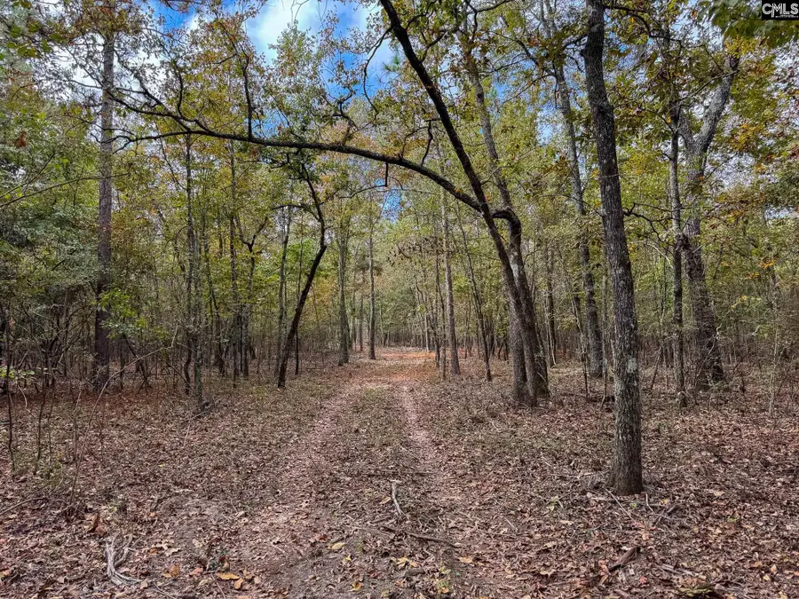 0 Chess Road #Lot 3, Swansea, SC 29160 - Image #2