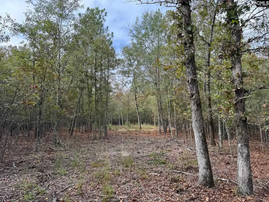0 Chess Road #Lot 3, Swansea, SC 29160 - Image #3