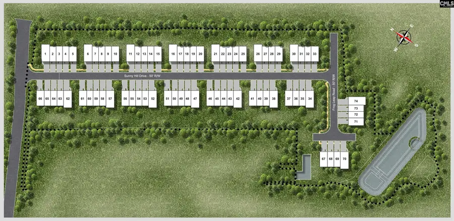 308 Frog Leap Drive, Blythewood, SC 29016 - Image #3