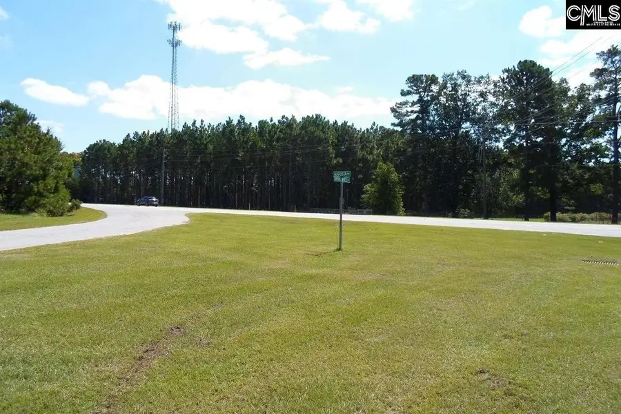 0 Augusta Hwy & Spoolwheel Rd Road, Gilbert, SC 29054 - Image #3