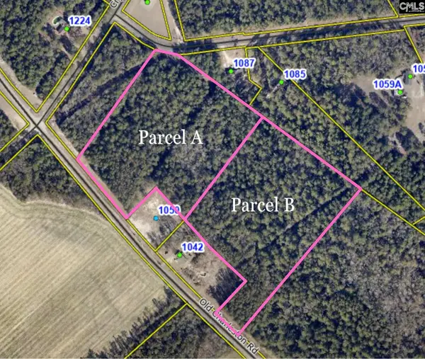 TBD Old Charleston Road #B, Pelion, SC 29213