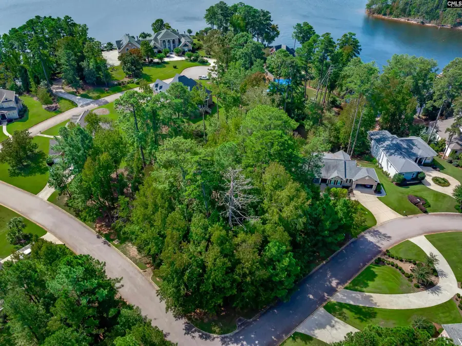 338 Lake Estate Drive, Chapin, SC 29036 - Image #3