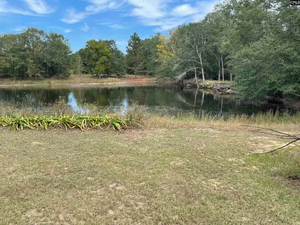 159 Hollow Creek Rd. 2+/-ac, Salley, SC 29137