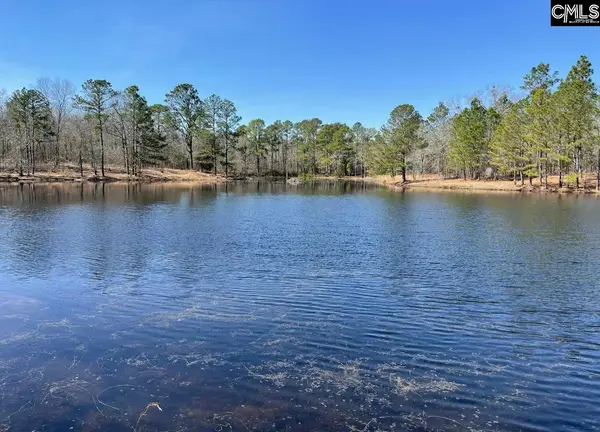 45+/-ac Hollow Creek Rd, Salley, SC 29137