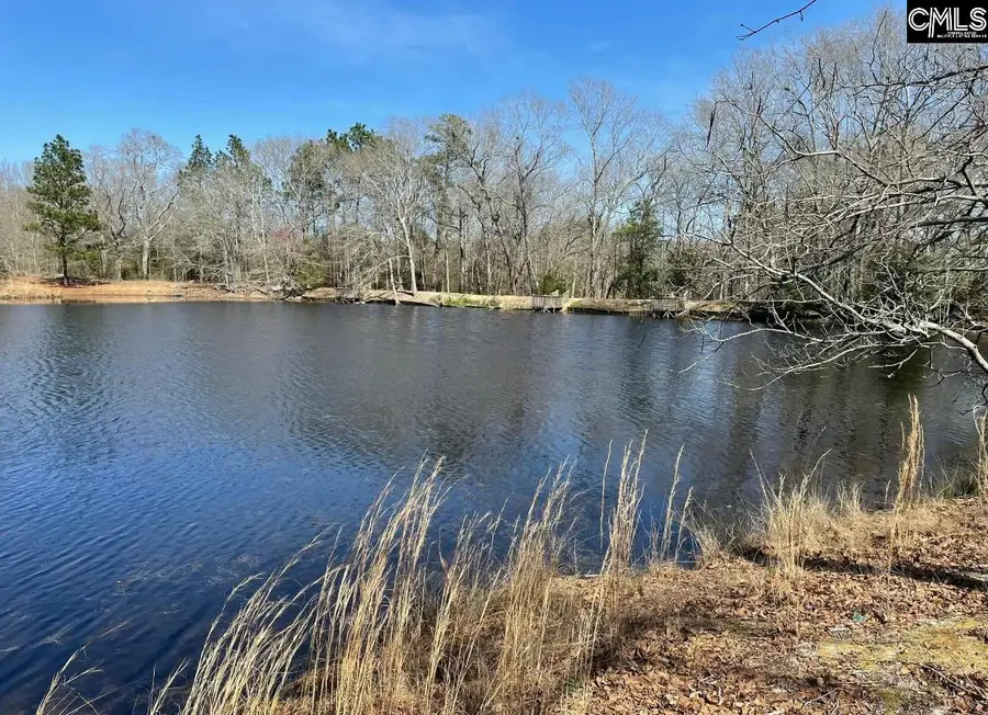 45+/-ac Hollow Creek Rd, Salley, SC 29137 - Image #2