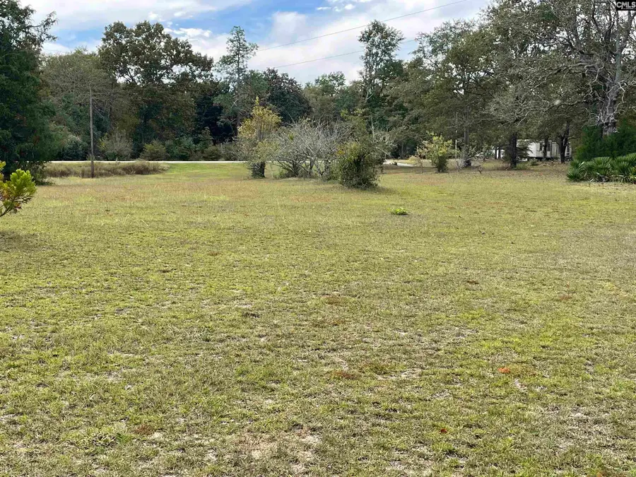 45+/-ac Hollow Creek Rd, Salley, SC 29137 - Image #3