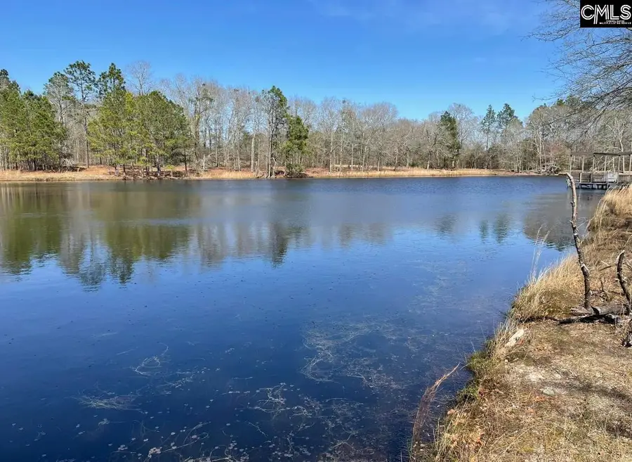 141 Hollow Creek Rd 27+/-ac, Salley, SC 29137 - Image #3