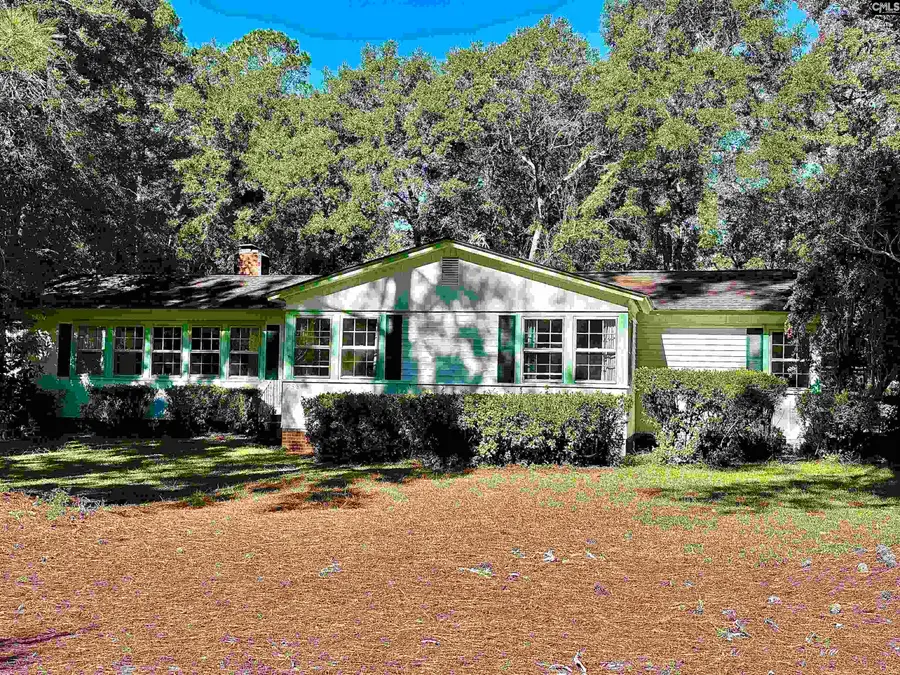 238 Club Acres Road, Orangeburg, SC 29118 - Image #2