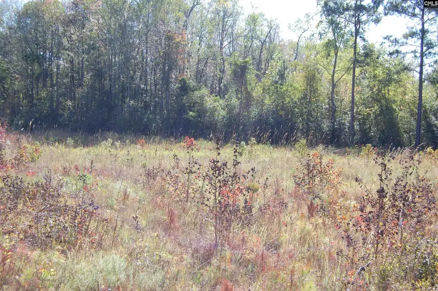 322 Sandspur Road, Camden, SC 29020 - Image #2