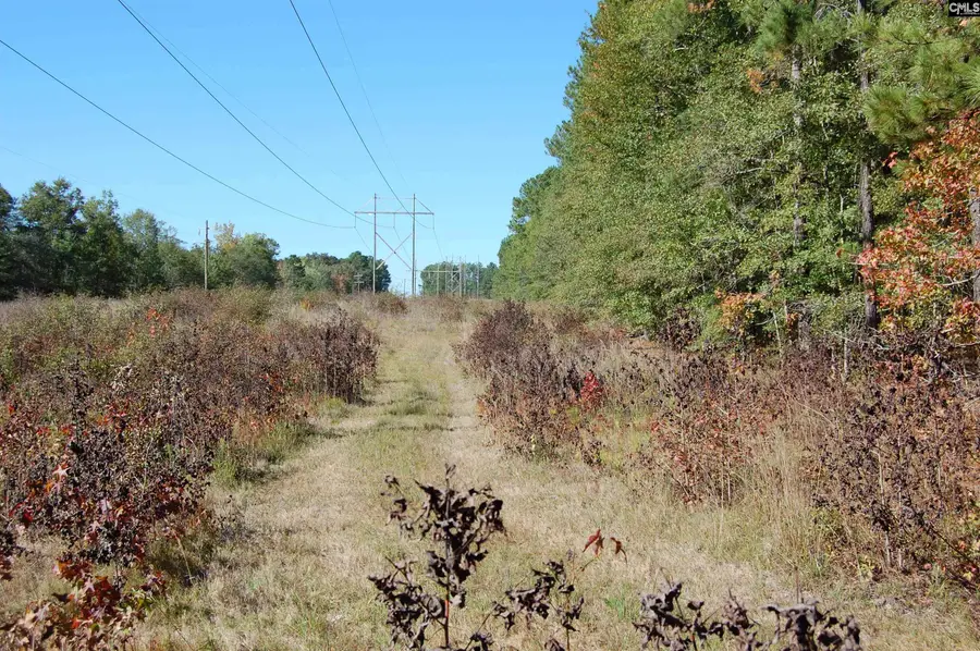 322 Sandspur Road, Camden, SC 29020 - Image #3