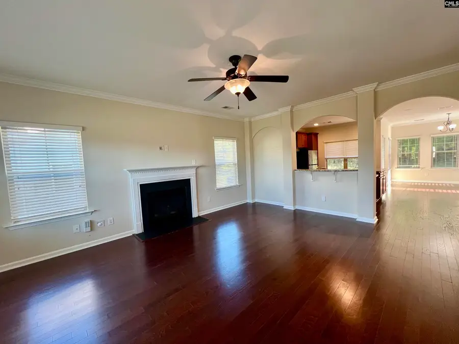 297 Massey Circle, Chapin, SC 29036 - Image #3