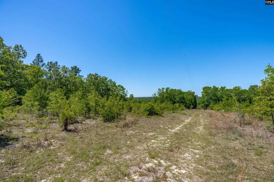 TBD Mack Street, Gaston, SC 29053 - Image #2