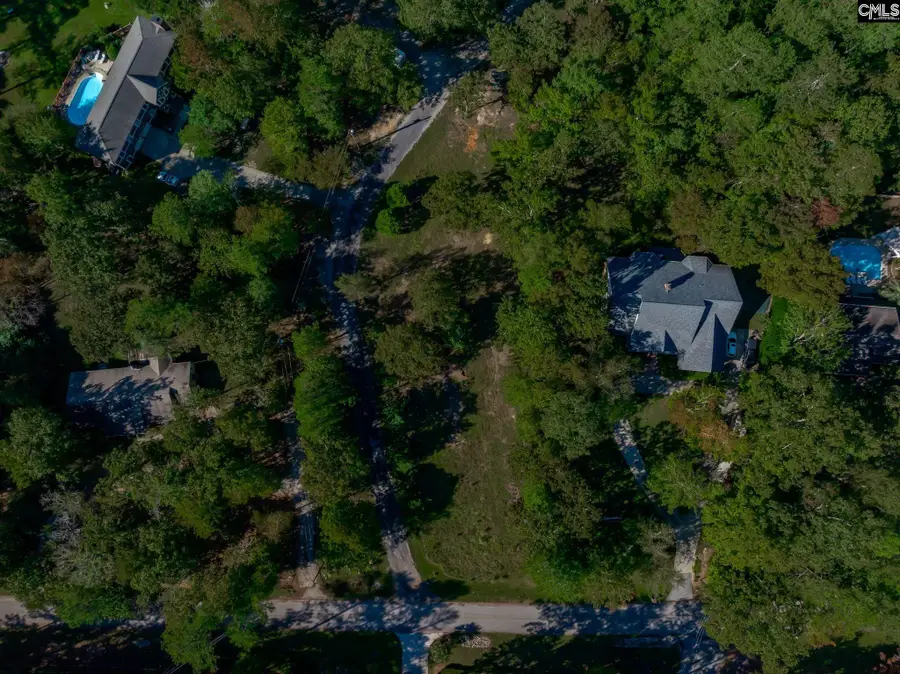 1304 Silver Point Road, Chapin, SC 29036 - Image #3