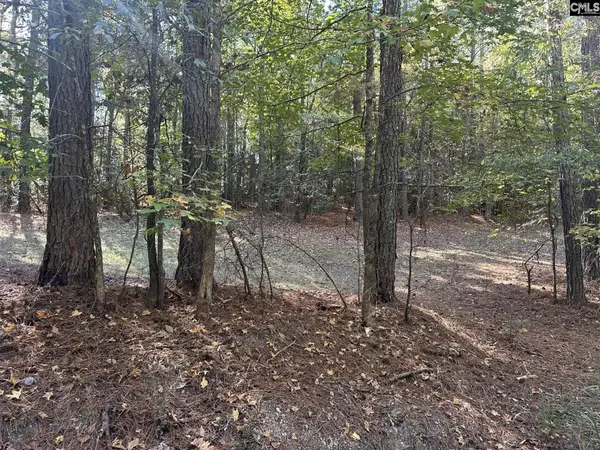 00 Douglas Road, Pomaria, SC 29126