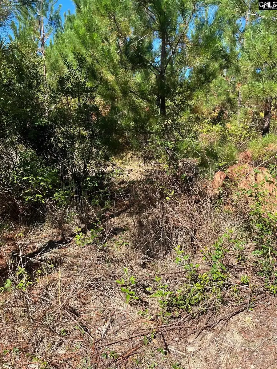 BFF 1B Jc Barefoot Road #BFF 1B, Patrick, SC 29584 - Image #3