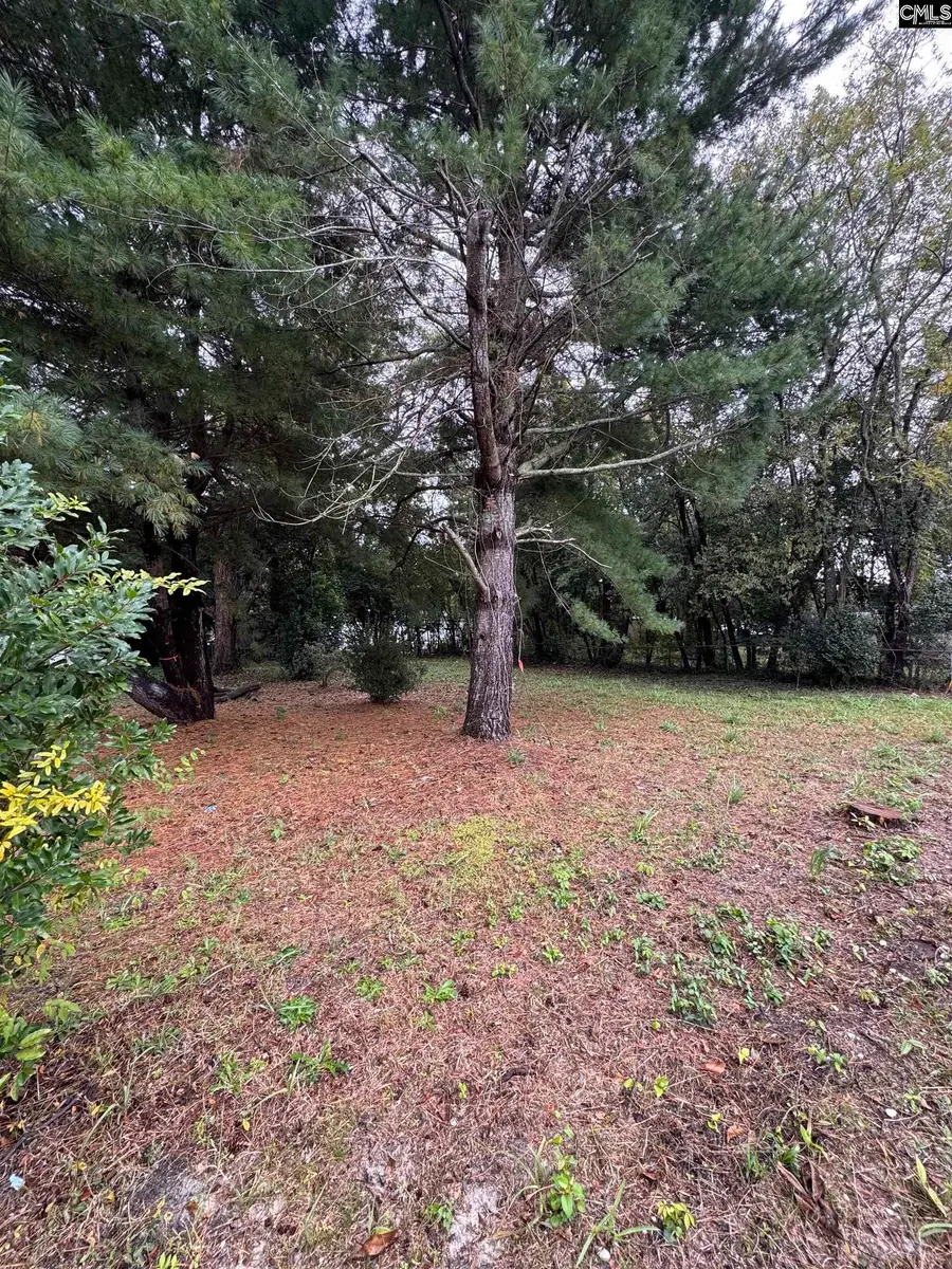 338 Ben Street, Sumter, SC 29150 - Image #3