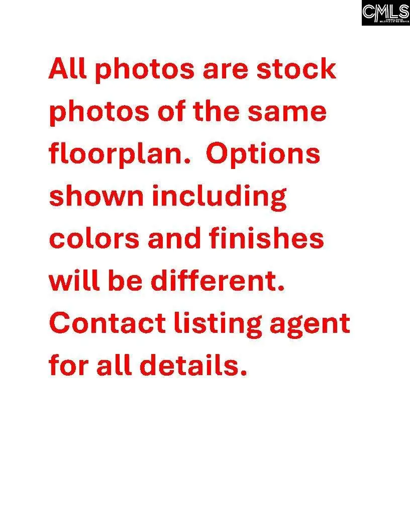 605 Falling Leaf Lane, Chapin, SC 29036 - Image #2