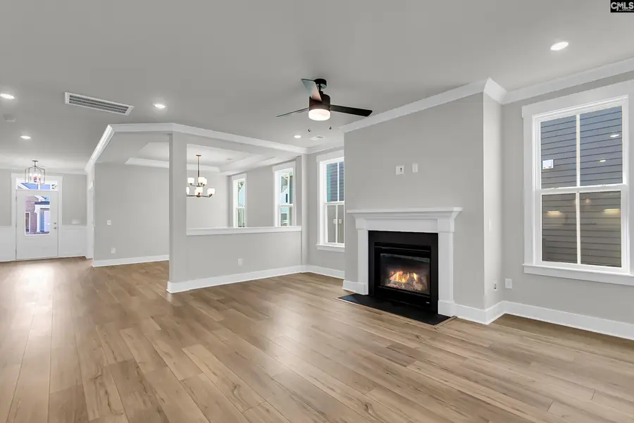 605 Falling Leaf Lane, Chapin, SC 29036 - Image #3