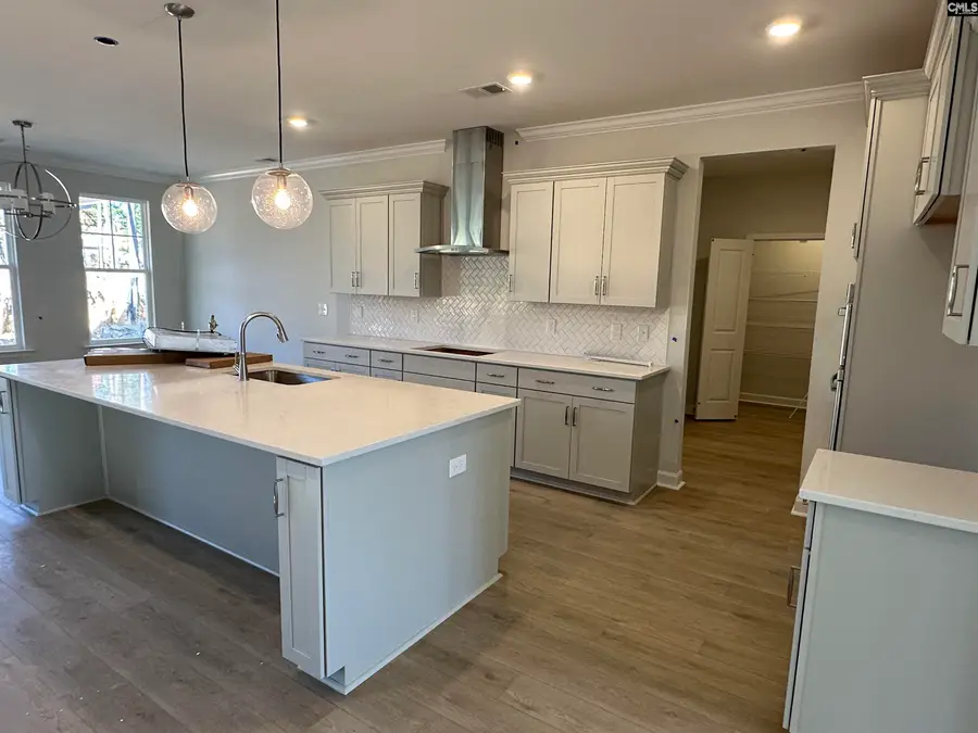 609 Falling Leaf Lane, Chapin, SC 29036 - Image #2