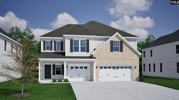 415 Rising Stream Way, Chapin, SC 29036