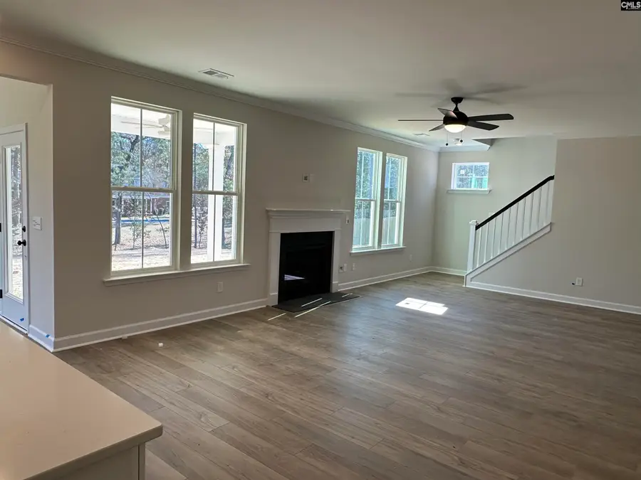366 Rising Stream Way, Chapin, SC 29036 - Image #3