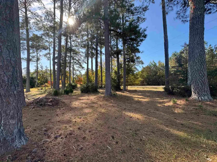 1007 Lovers Lane, Whitmire, SC 29178 - Image #2