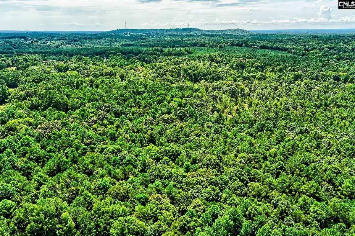 1549 Doctor Bowers Road, Little Mountain, SC 29075 - Image #1