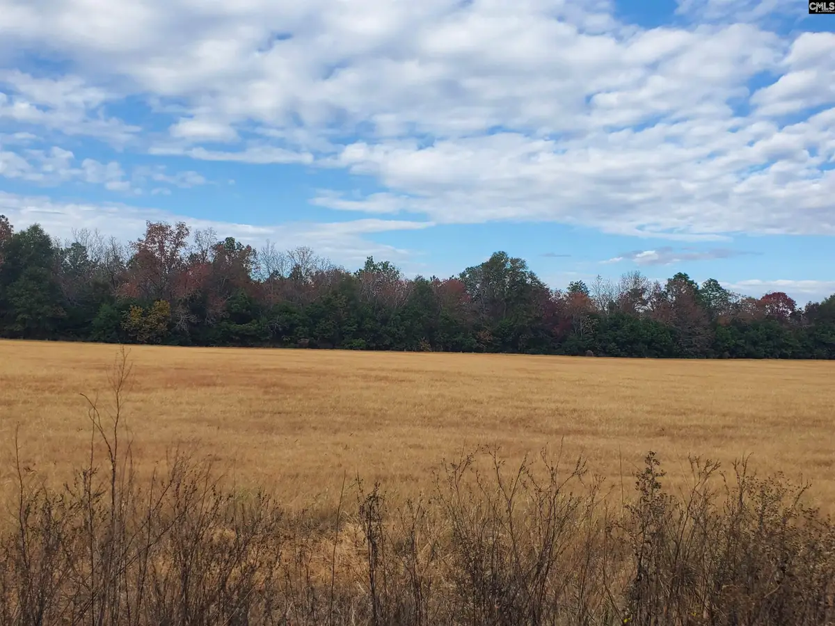 Lot 2 Water Tank Road, Pelion, SC 29123 - Image #1