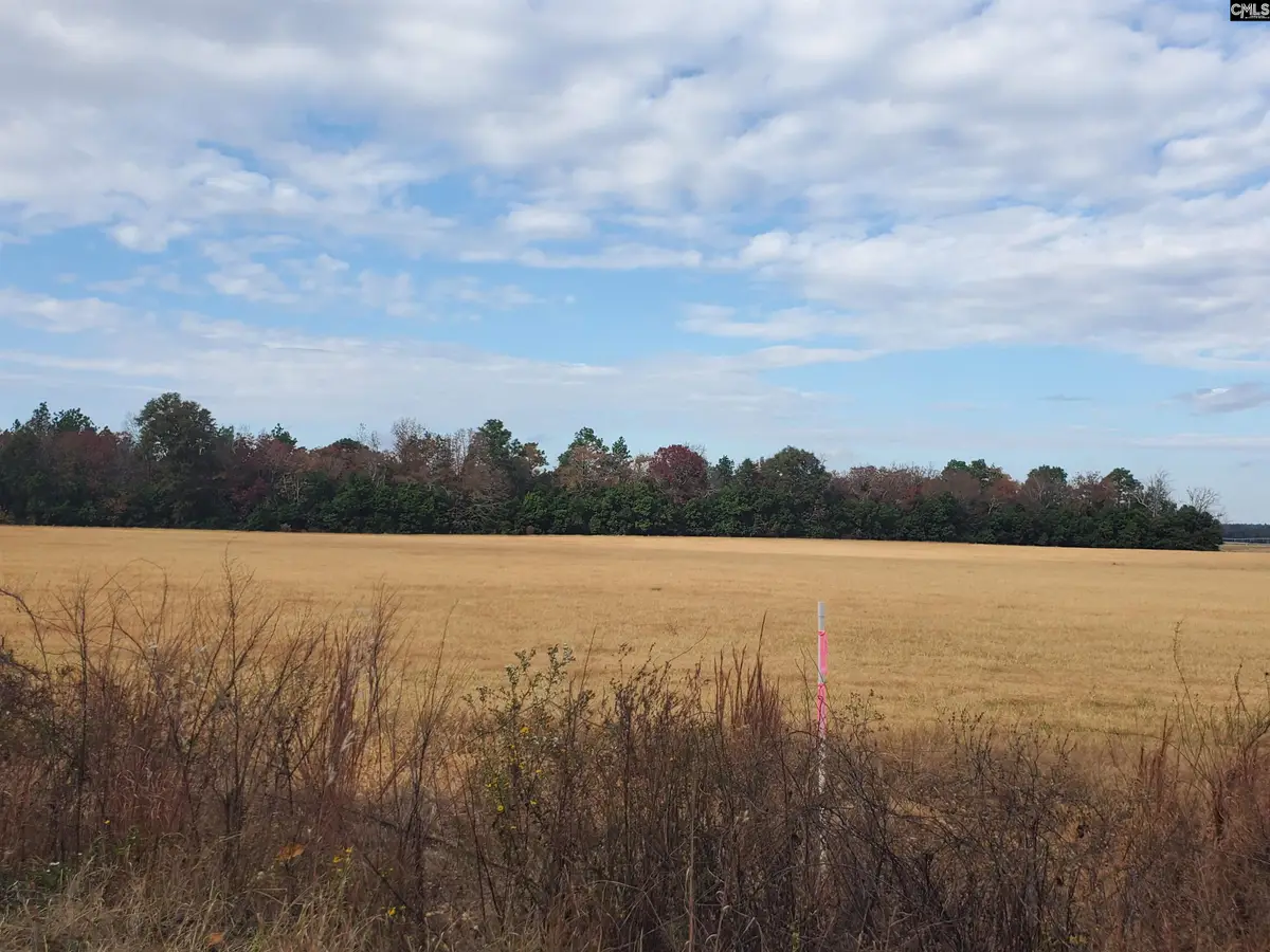 Lot 3 Water Tank Road, Pelion, SC 29123 - Image #1
