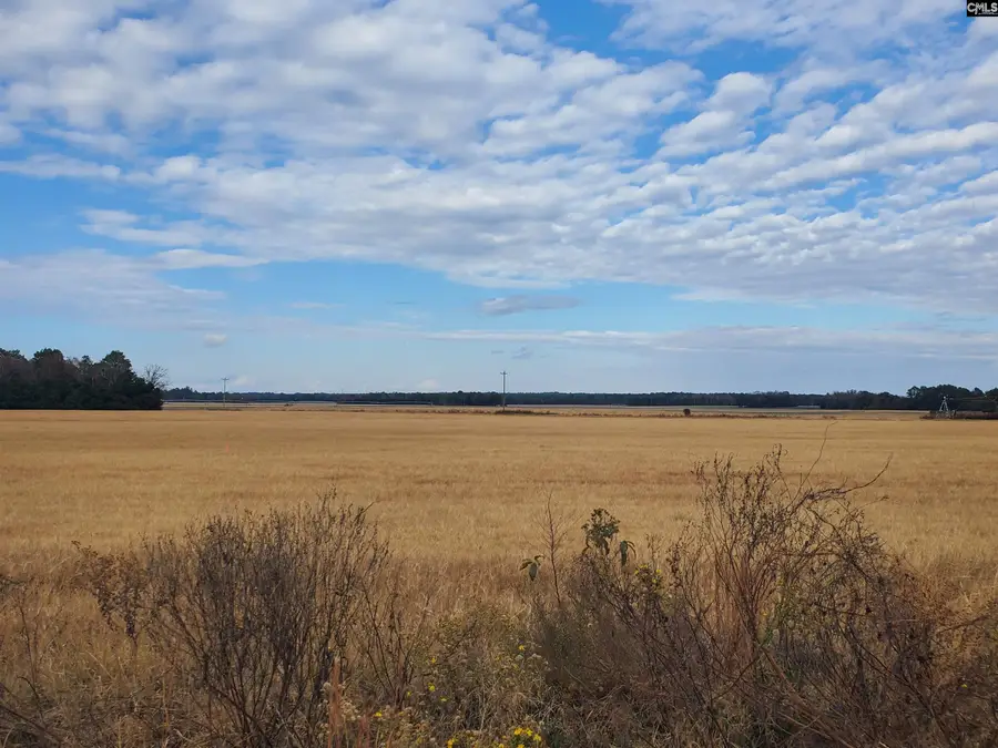 Lot 4 Water Tank Road, Pelion, SC 29123 - Image #2