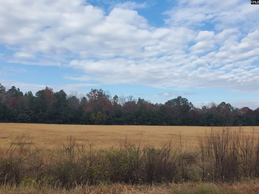 Lot 4 Water Tank Road, Pelion, SC 29123 - Image #3
