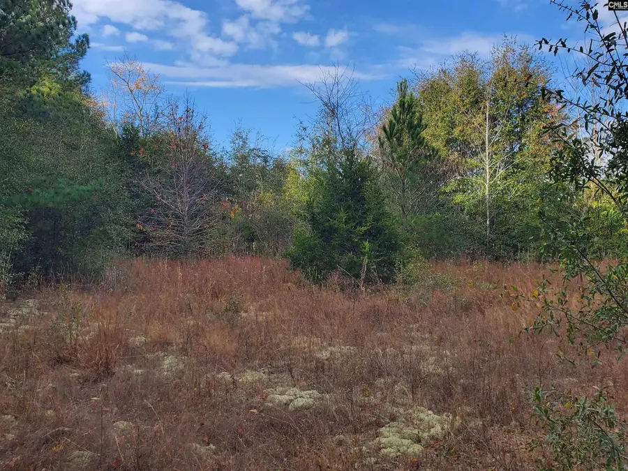 Lot 5 Water Tank Road, Pelion, SC 29123 - Image #2
