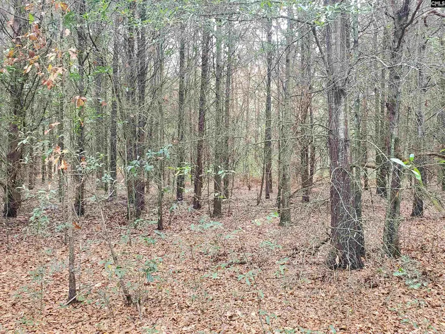 Lot 5 Water Tank Road, Pelion, SC 29123 - Image #3