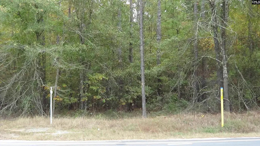 471 Turkey Farm Road, Blythewood, SC 29016 - Image #2