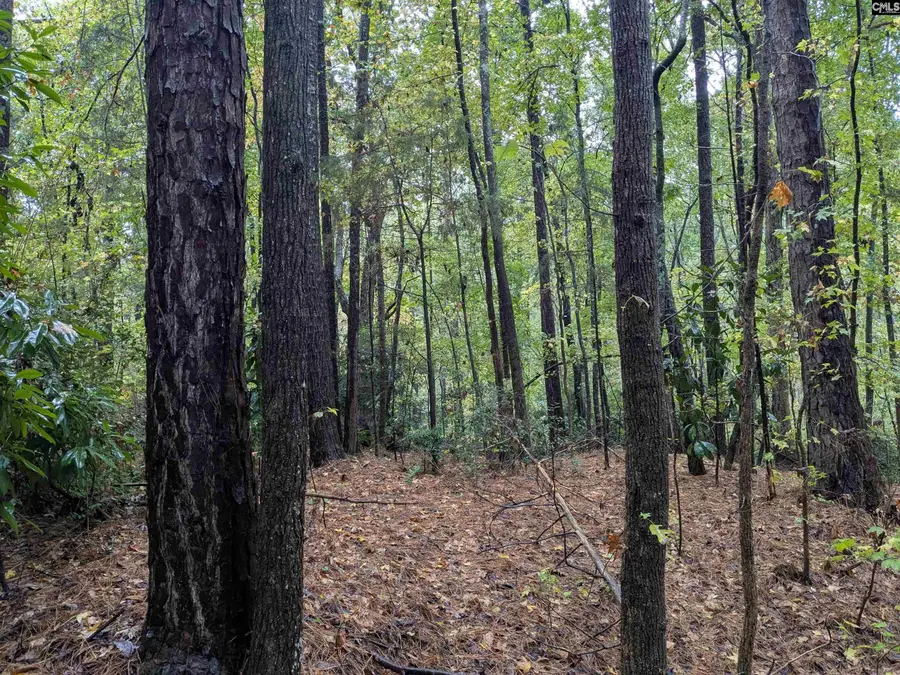 0 Evens Street Extension, Winnsboro, SC 29180 - Image #2