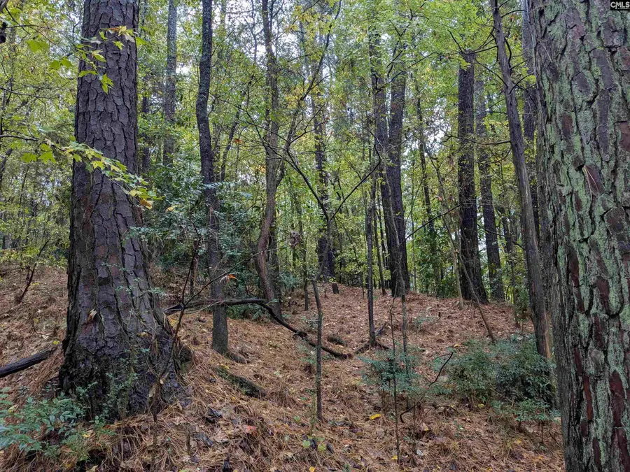 0 Evens Street Extension, Winnsboro, SC 29180 - Image #3